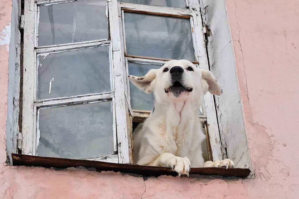 Превращается в притон. Дом по адресу ул. Вагонная 58 по документам - 1946 года постройки, рассыпается на глазах: крыша прохудилась, фундамента практически нет, а одна из образовавшихся трещин уже готова разделить здание... Превращается в притон. Дом по адресу ул. Вагонная 58 по документам - 1946 года постройки, рассыпается на глазах: крыша прохудилась, фундамента практически нет, а одна из образовавшихся трещин уже готова разделить здание...
