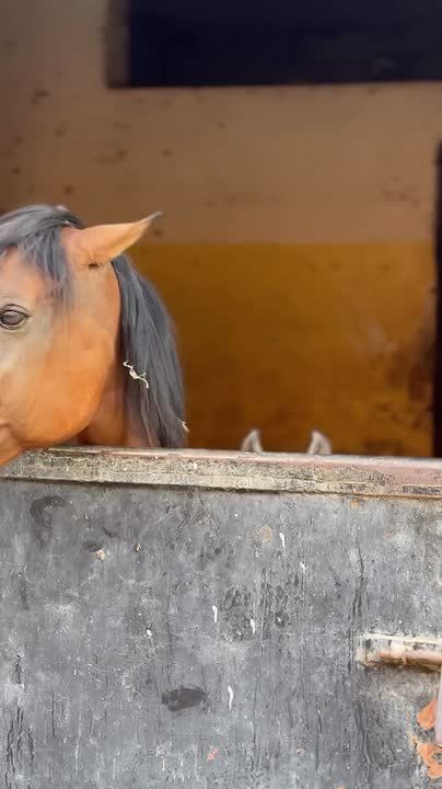 ����� ��� �����������? ��� ������ 2026 ����!�