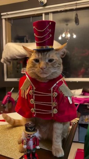 Как вам такой Щелкунчик? . Доброе утро, Алтайский край!