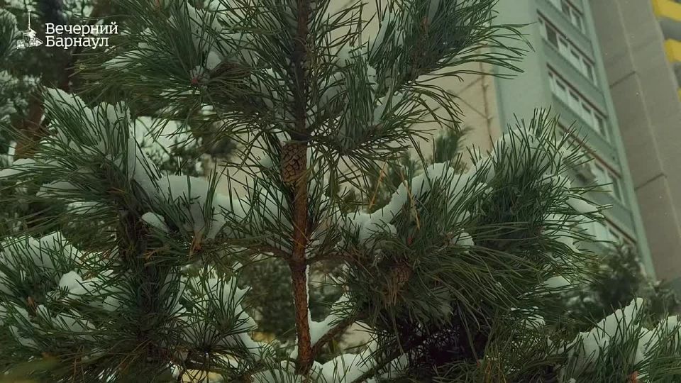 20 � 21 ������� �� ���������� �������� ��������� ����