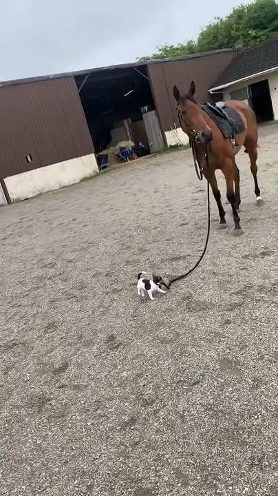 ������ ����, ��������� ����!�