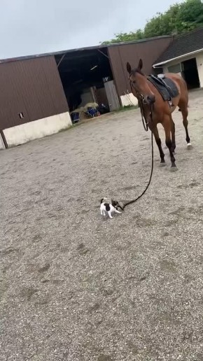 Доброе утро, Алтайский край!