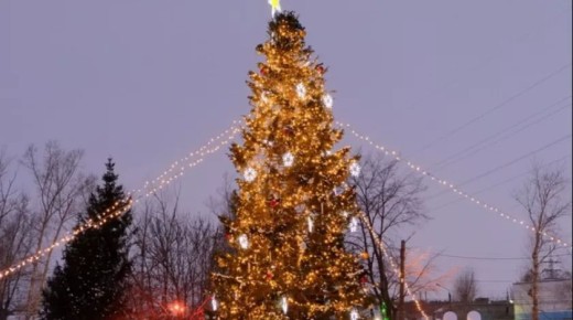 � ������ ������� �������� ���� � ������� ��������