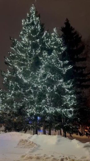 ��� ������� �����. �������, ����� ����� ������ ����������� �������� ������ ���� � ������� ��������� ��������� �� ������� ���������