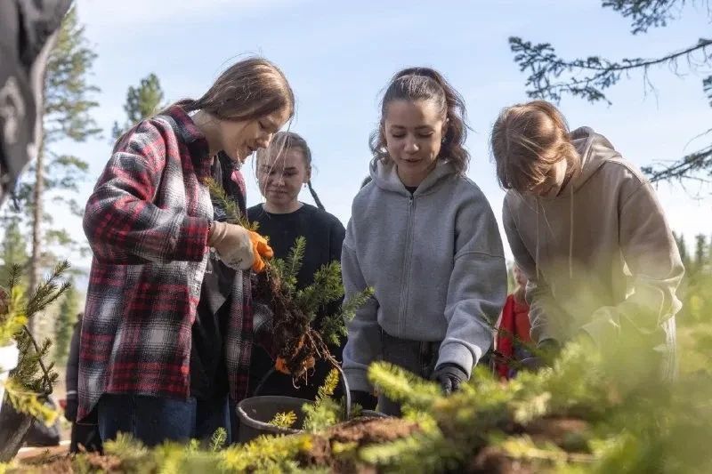 ��������� ���� ����� � ����� ������� 2025 ���� �� ������� � ��������������������� ������