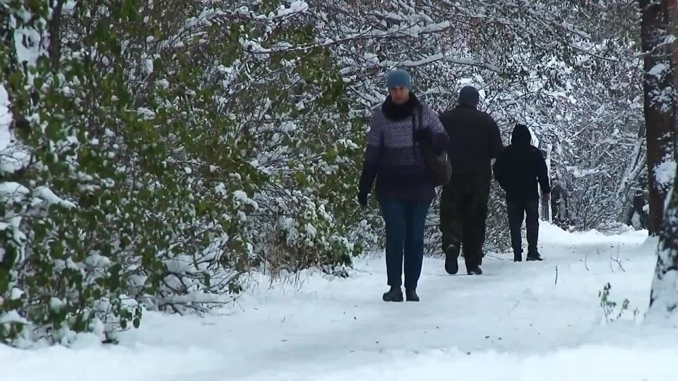 � ����-����� ���������� �� ������ 2025 ���� � �������� �������� ����� �� �������