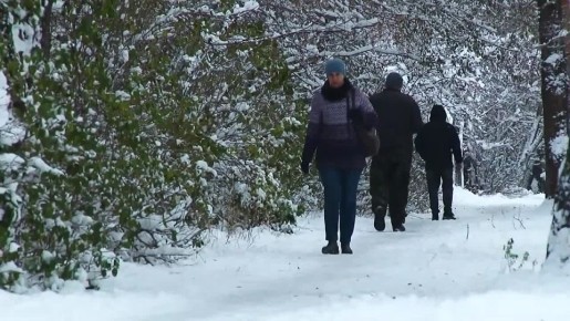 � ����-����� ���������� �� ������ 2025 ���� � �������� �������� ����� �� �������