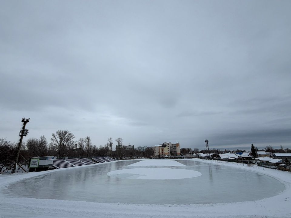 ����� ������� ����� ���������� ���� ����� ������