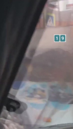 ���� ���������� �������� � ��������� ����