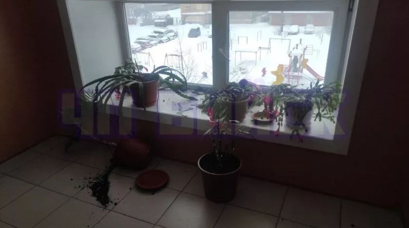 ������� ������������ �� �����, ���������� ������ � �� ��������