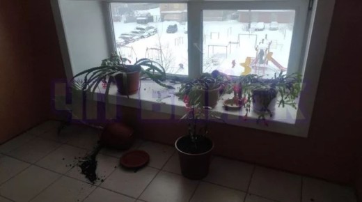 ������� ������������ �� �����, ���������� ������ � �� ��������