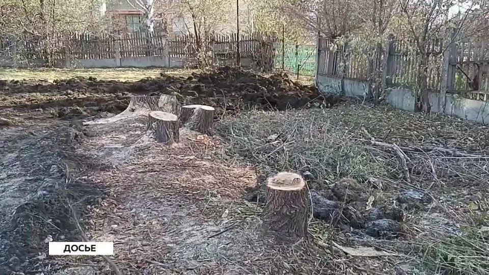 ��� ���� �������� ���������� ����� �������� � ����� ������