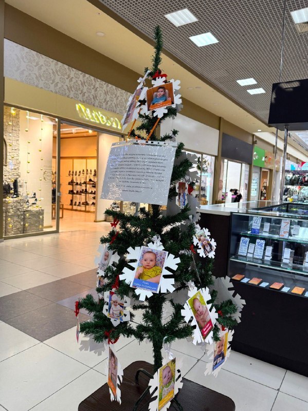 Акция «Ель желаний» в ТРЦ «Ривьера»