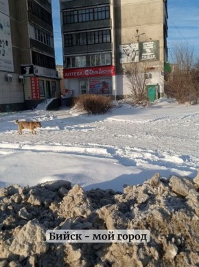 #�������������:. "��� ����� ���� ������ ��� �� ������ ���