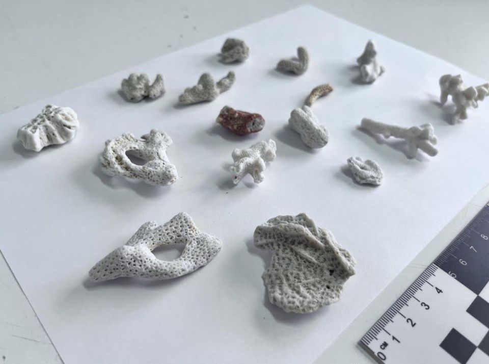 ����������� �������� ���������� � ������� � ������������ ���������