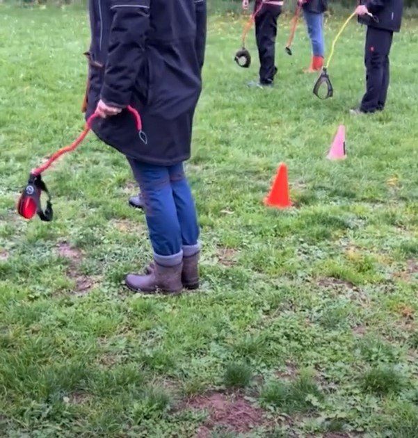 ����� �� ������������ ���������������� � ������