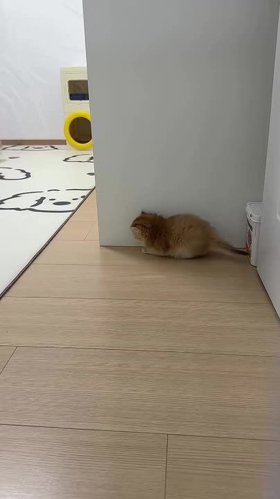 ��������� ������ ������ ������