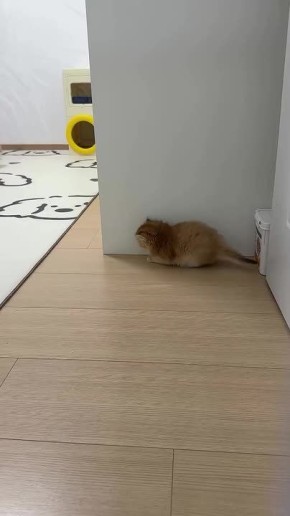 ��������� ������ ������ ������