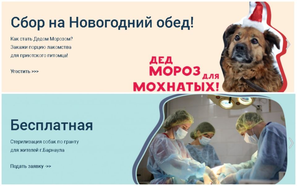 �������� ������ ���� ����� ������ ���������� � ����� �������� � ����������������� �����������