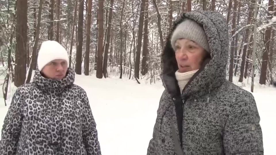 �������� �����, ������, ���� � ������ ������ - ��� ������, ����������� ����������� ���������