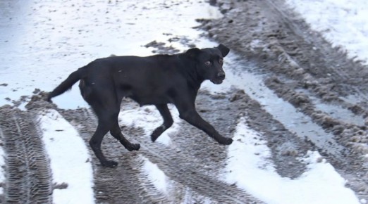 ������� ������ ������ �� ������ ������ ��-�� ��������� ��������� �����