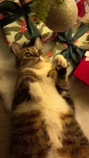 ������ ����, ��������� ����!�