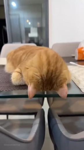 Доброе утро, Алтайский край!