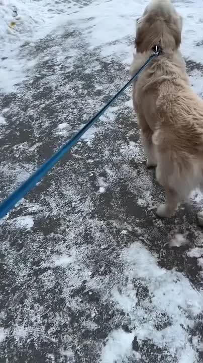 ������ ����, ��������� ����!�