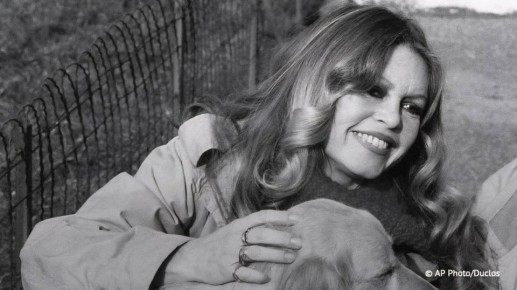 ���������� ����������� ����������� ������� ������ �����