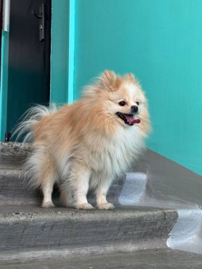 ������� �������. ��� 100 % ��������, ����������, ������, ����������!