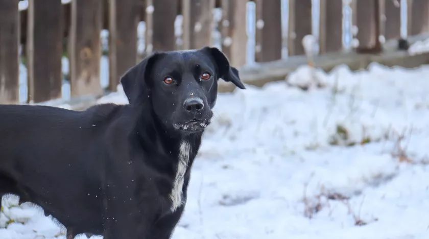 ��� � ����� ���������� �� �������� � ����� �������