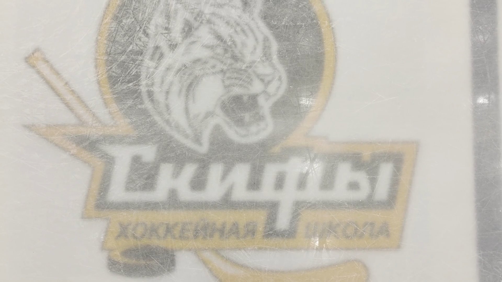 Завершили 2025 год яркой победой и поблагодарили болельщиков! Завершили 2025 год яркой победой и поблагодарили болельщиков!