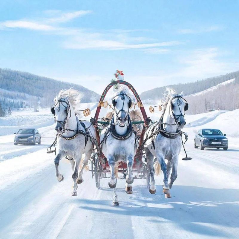 ���������� ������������� ����� ��������� ������� � ������������ � ����� ����� � ����������� ��� ������������� �������������!