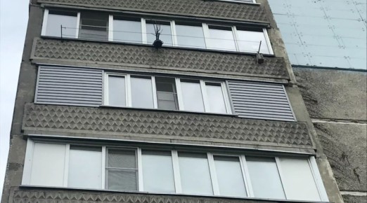 Бийчанка оштрафована за оскорбление соседки, сделавшей ей замечание по поводу задолженности по электроэнергии