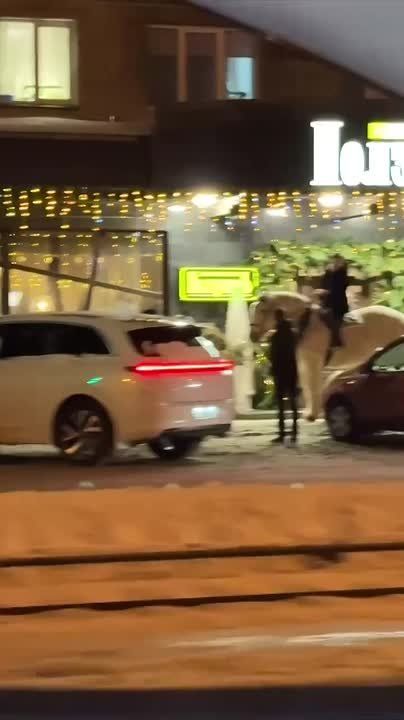 ��� ����� �������� ������������ ������� � �����������