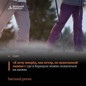 Барнаульский ленточный бор — сказочное место, и упускать возможность побывать в нём нельзя ни в коем случае