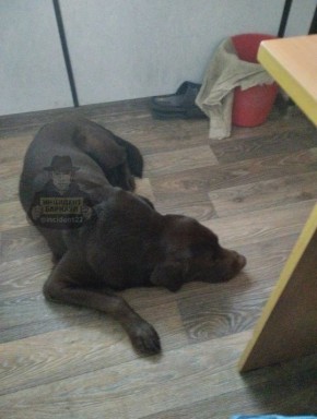 �������� ������� ������� ������ ������ � ���������� ���� � ��������� ��������