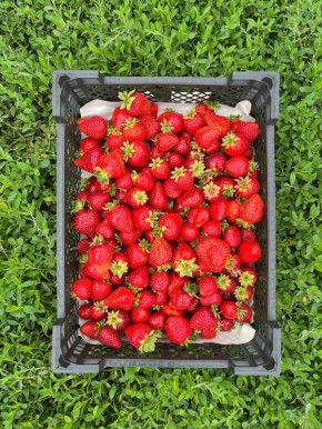 ������� ��������� ����� ������������ ��������: ��� �������� ������� � ������� �����