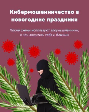 Совместно с Сенатором РФ Артемом Шейкиным подготовили инфографику о том, как оставаться в безопасности во время новогодних праздников
