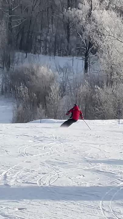 ���������� � ����� ������� ������� ��������� �������� �������� �� ����������� ��������� ����������