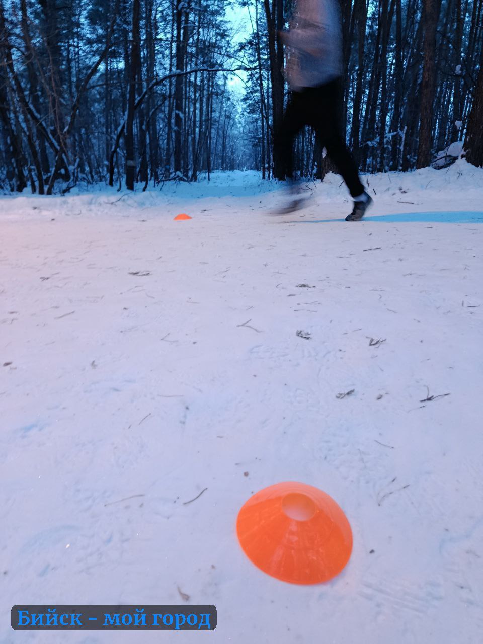 Ещё не рассвело, а "маячки" уже были расставлены по лыжероллерной трассе на АБ. Там каждую субботу в 9 утра встречаются любители бега Ещё не рассвело, а "маячки" уже были расставлены по лыжероллерной трассе на АБ. Там каждую субботу в 9 утра встречаются любители бега