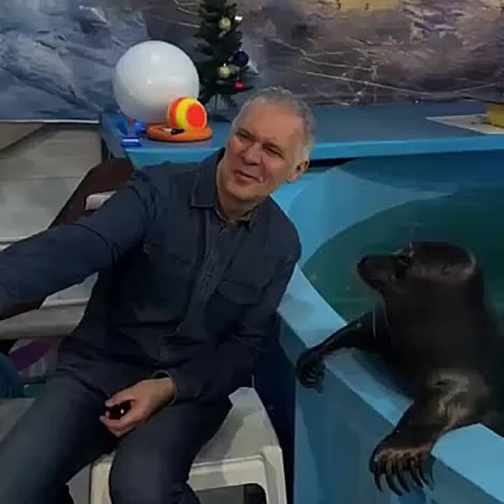 ����� ����� �������� ������� ������ ��������� ������� ���������