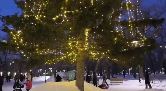 ������������� ������� �������� ��������, ��� ������� � ����� �����������