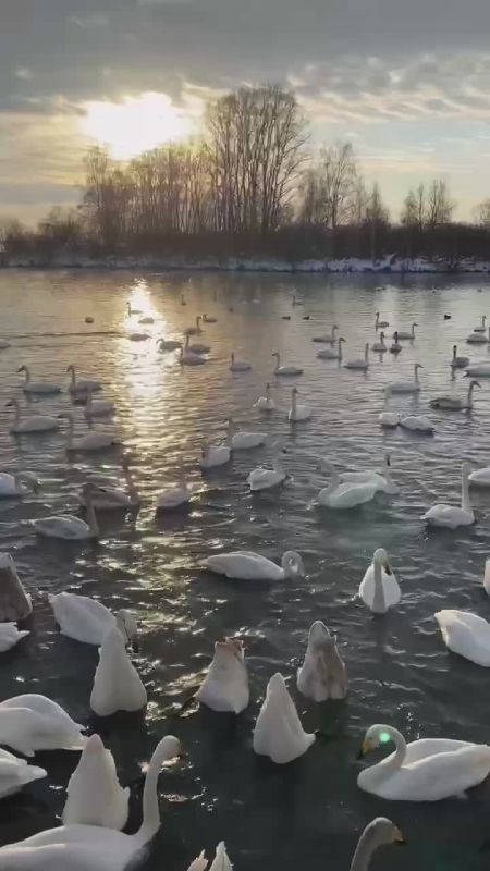 �� ����� ������� ��������� ����� �� �������� ������� ����� �������