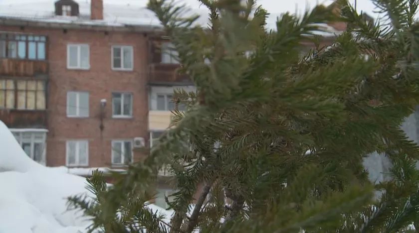 ����� �������� ���������� �������� � ������