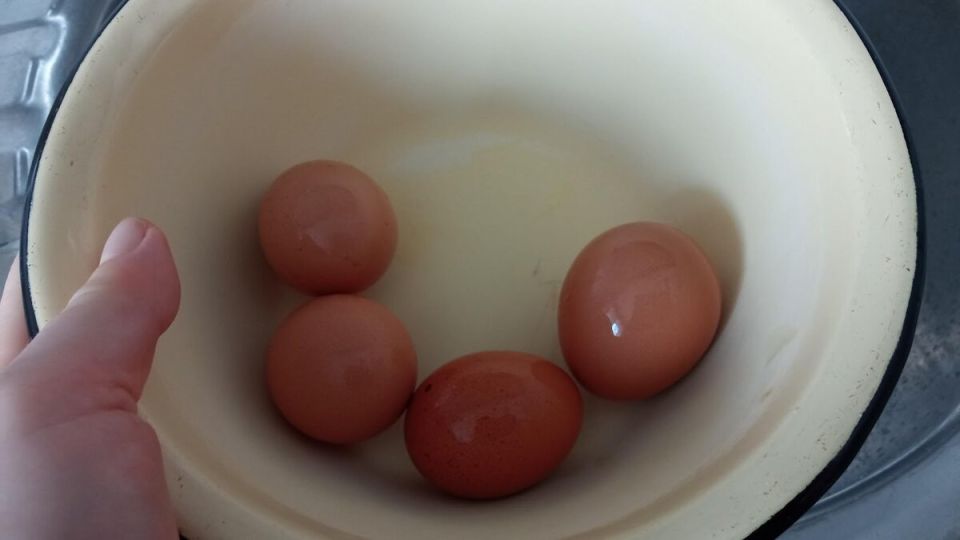 10 ��������� ��� ��������� ����, ������� ������ ����� ���