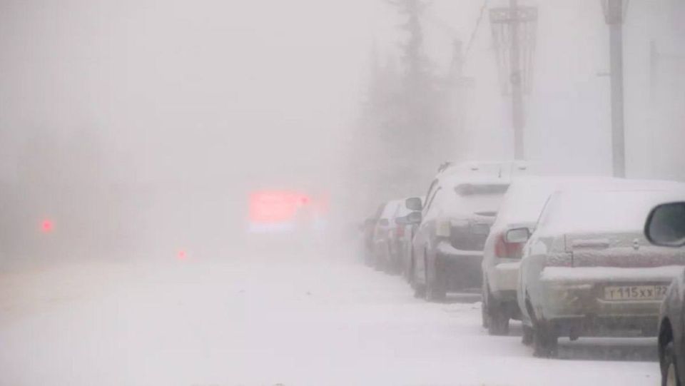 �� ���������� ���������� ���� ��������� ��������� ��������������, �������� ������������ ����