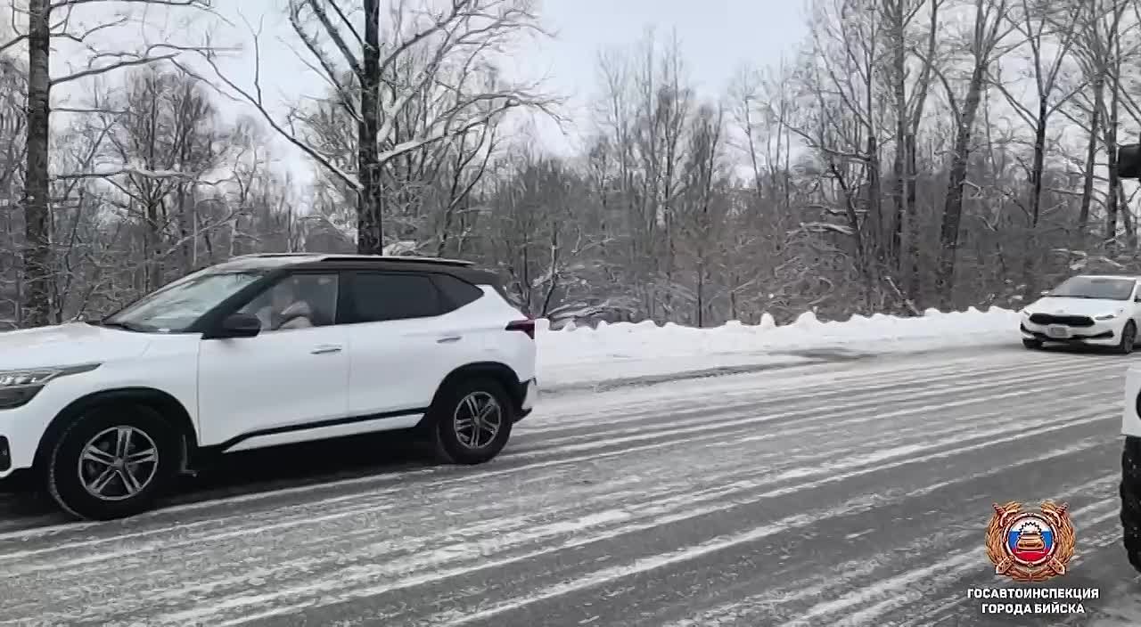 Сотрудники Госавтоинспекции Бийска оказали помощь женщине-водителю, которая съехала в кювет