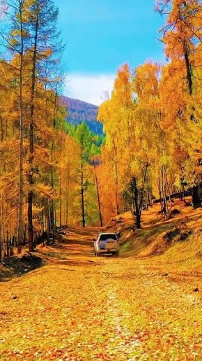 ��������� ����� � ��������� ����� (��������� ����, ������ )