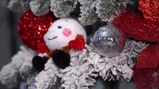 7-������ ���� ��������� �������� ������� ������ �������������� ���� ���������� ���������